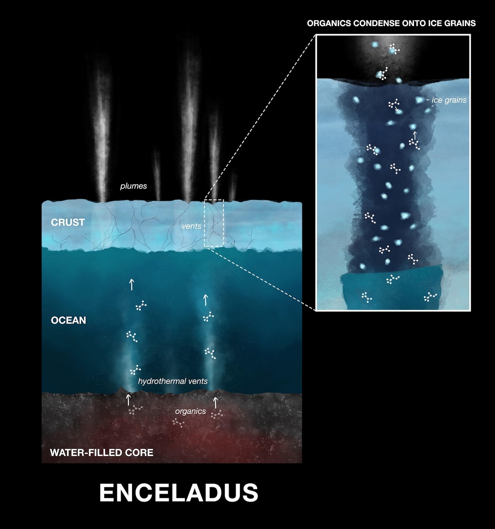 科學家認為活躍的熱液噴口可能會將土衛二的核心物質噴發到衛星的地下海洋，這些物質與水混合後，以水蒸氣和冰粒的形式釋放到太空之中。ILLUSTRATION BY NASA/JPL-CALTECH