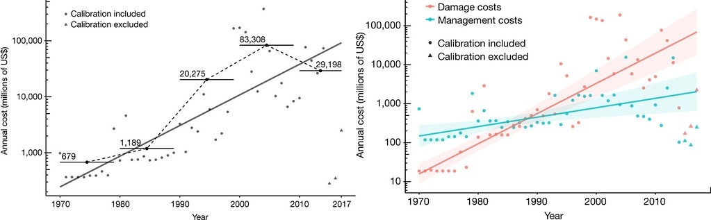 據InvaCost1970~2017年間的資料，全球入侵成本隨著時間持續增加（單位：百萬美元）；右圖：全球損害成本（紅色）與管理成本（綠色）的預測模型顯示也在增加中。左圖：實線時間和成本的線性迴歸，虛線節點代表每個十年的平均年度成本。圖片來源：High and Rising Economic Costs of Biological Invasions Worldwide