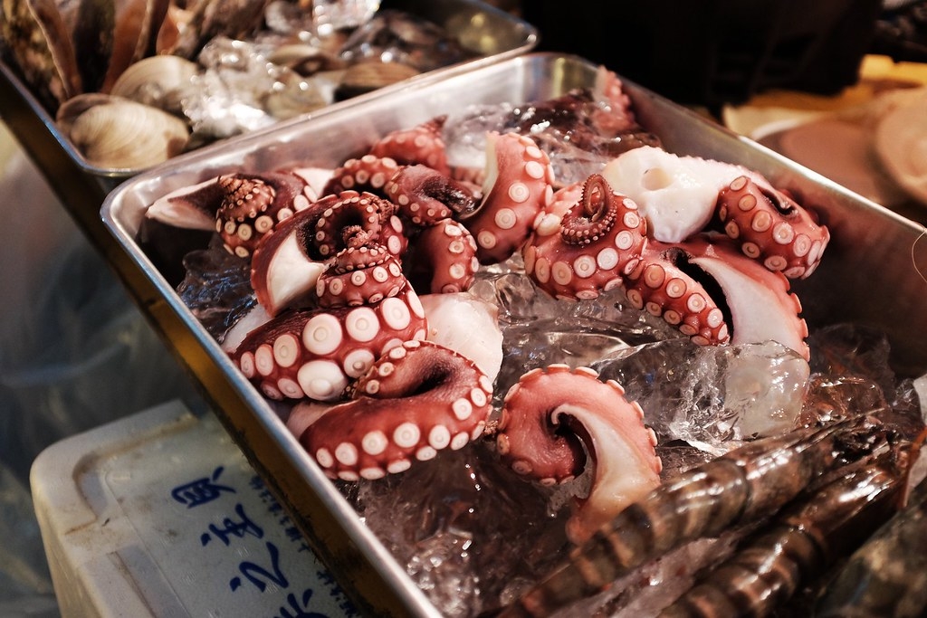 章魚既是聰明的海洋生物，也是餐桌上的佳餚。隨著需求上升，養殖爭議逐漸上升。圖片來源：Pixabay