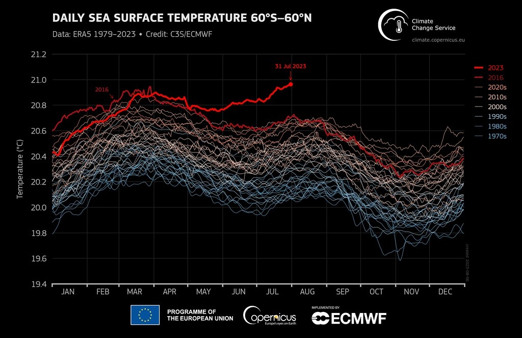 1979年至2023年7月31日的每日全球海面溫度(°C)平均值，粗紅色為2023年，數據來源：ERA5。圖表來源：C3S/ECMWF