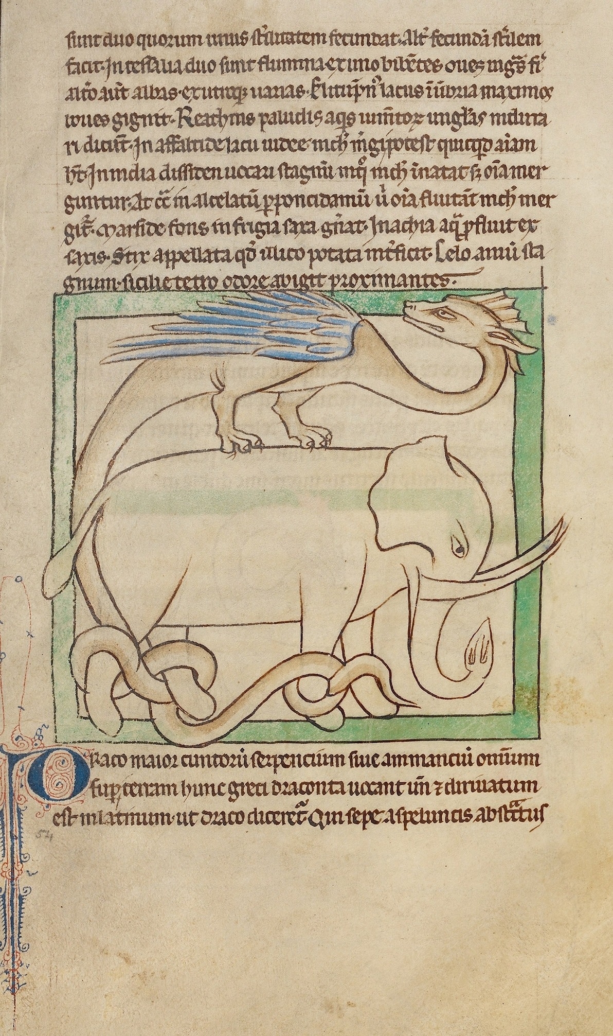 在這幅出自諾森伯蘭動物預言集（Northumberland Bestiary）的插圖中，一條龍用尾巴纏住大象的腿，這本預言集約是在公元1250年於英格蘭創作的。大象是上帝中世紀的動物園中最大的動物，據說是龍的死敵。 IMAGE VIA GETTY MUSEUM 