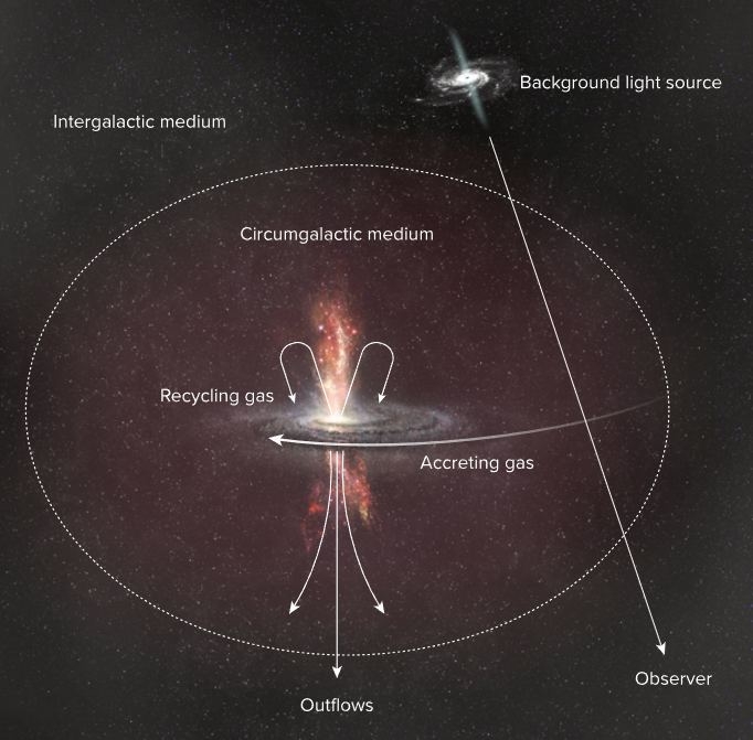 天文學家在觀測活躍星系核心的過程中，發現環繞星際物質的存在。圖片來源：Universe Today