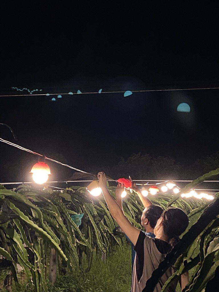 臺灣暗空協會與彰化二林火龍果農合作加裝燈罩。圖片來源：臺灣暗空協會提供