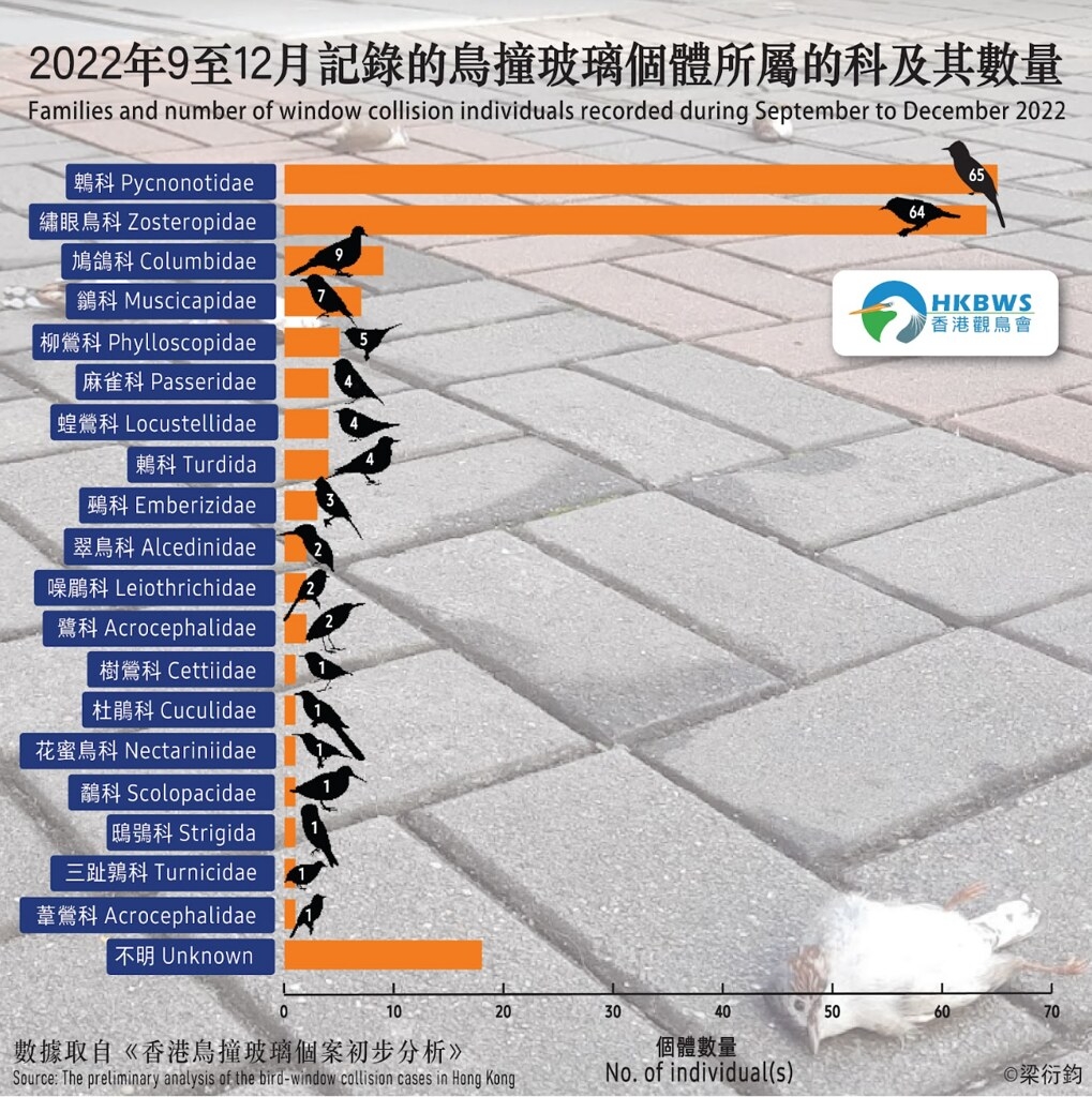 2022年9月至12月期間香港觀鳥會記錄的鳥撞個體所屬科和數量。圖片來源︰香港觀鳥會