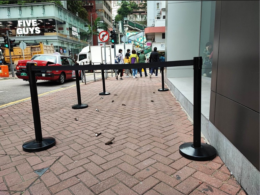 2022年12月3日，香港北角AIA Tower記錄到10隻栗頸鳳鶥疑似集體推玻璃致死。圖片來源︰Tang Ho Fun／香港觀鳥會