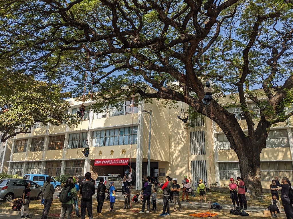  找樹的人在成大發表會現場，舉辦親子攀樹活動，體驗攀爬成大老樹雨豆樹。攝影：李育琴 