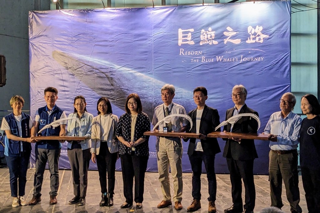 海委會海保署、成大與海生館簽署藍鯨骨骼標本合作備忘錄，促成藍鯨標本的保存與展示。李育琴攝