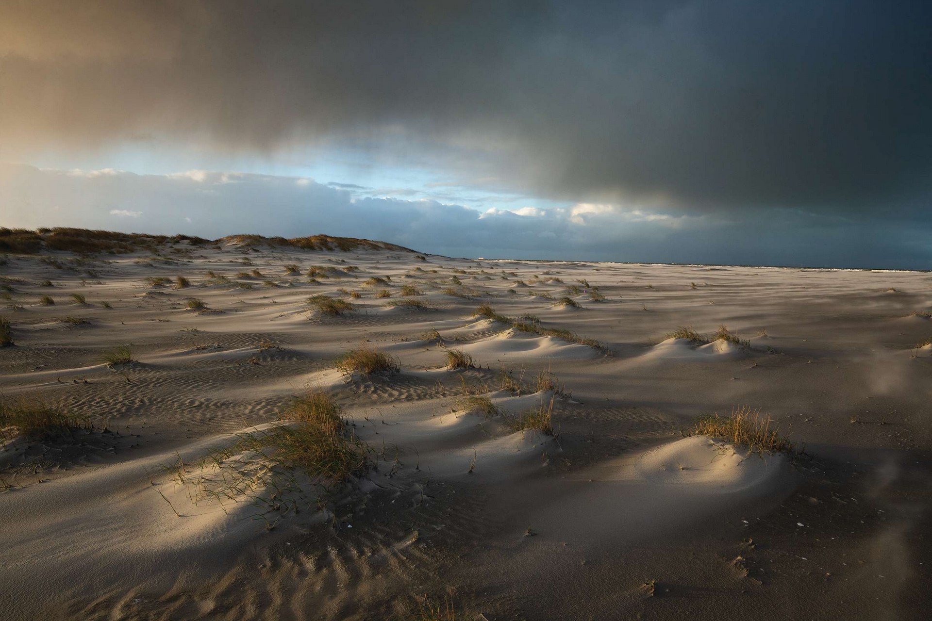 在一個滂沱大雨和低垂太陽交替的典型荷蘭秋日，我拍下了這張沙丘的照片。當我仔細觀察，才發現沒有任何兩分鐘的景色是一樣的。攝影：亞斯博．杜斯特