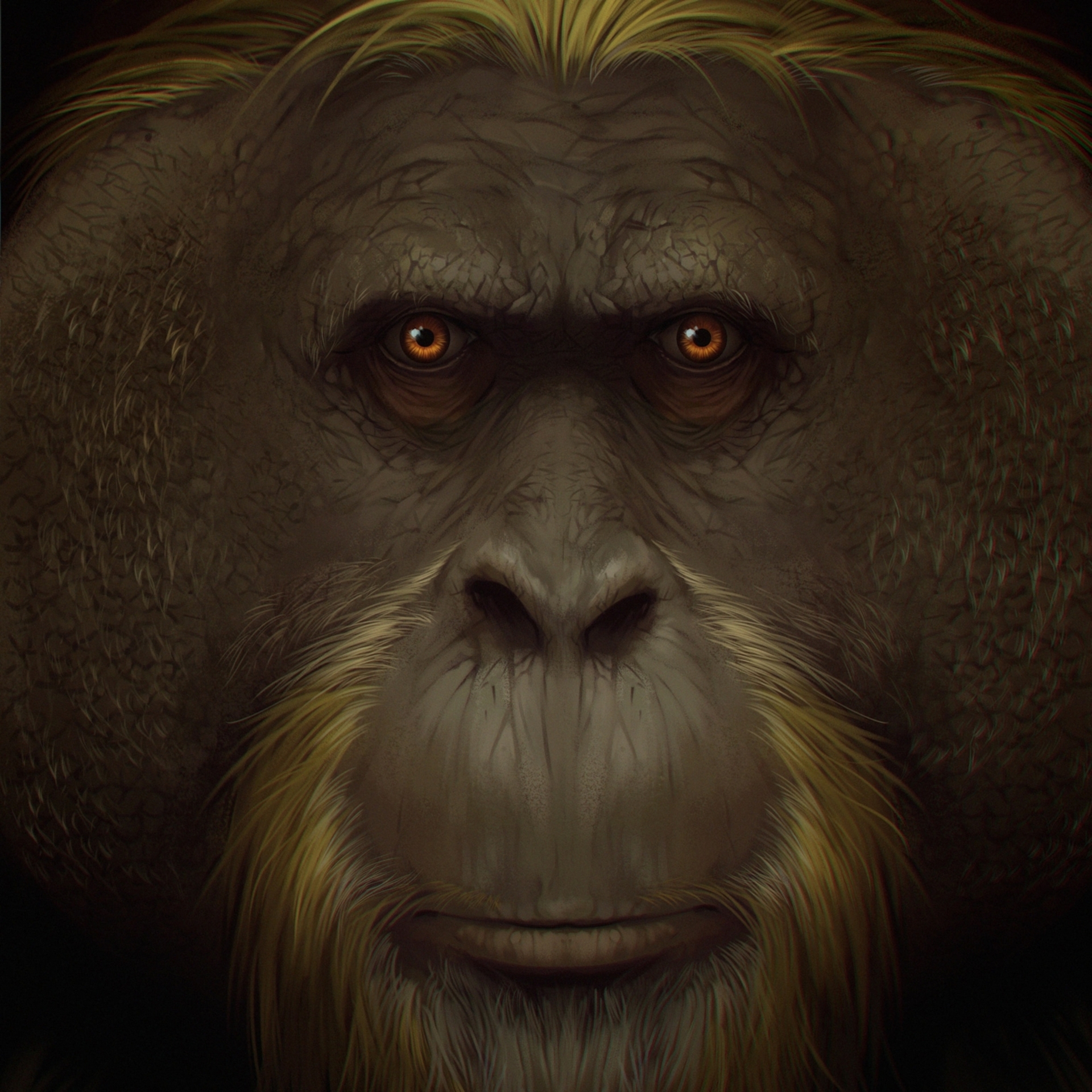 步氏巨猿直立大約3公尺高，體重超過200公斤，是史上已知最大的靈長類。ILLUSTRATION BY GARCIA/JOANNES-BOYAU, SOUTHERN CROSS UNIVERSITY 