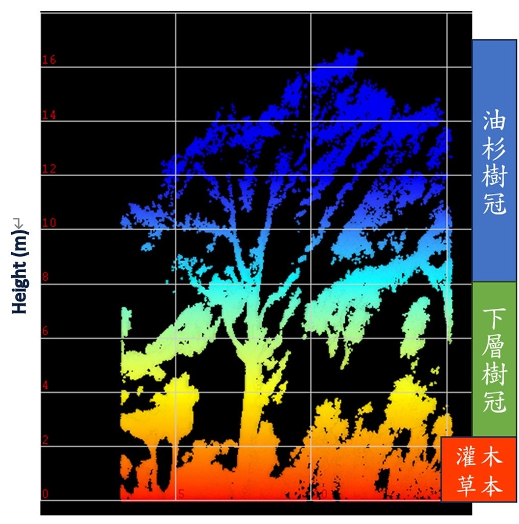 利用光達技術蒐集臺灣油杉林木資訊。圖片來源：林業保育署提供