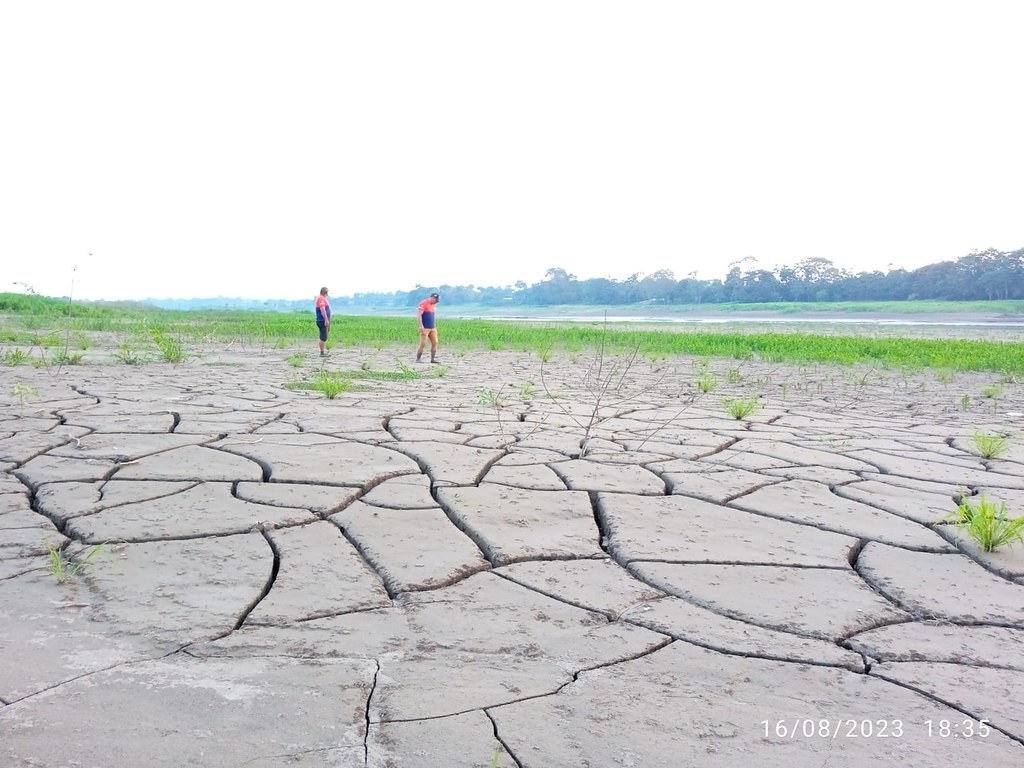 巴西亞馬遜地區的旱季比預期提前到來，在8月時，索利莫斯河在亞馬遜州聖保羅德奧利文薩（São Paulo de Olivença）的水位就已大幅下降。圖片來源：亞馬遜州民防單位