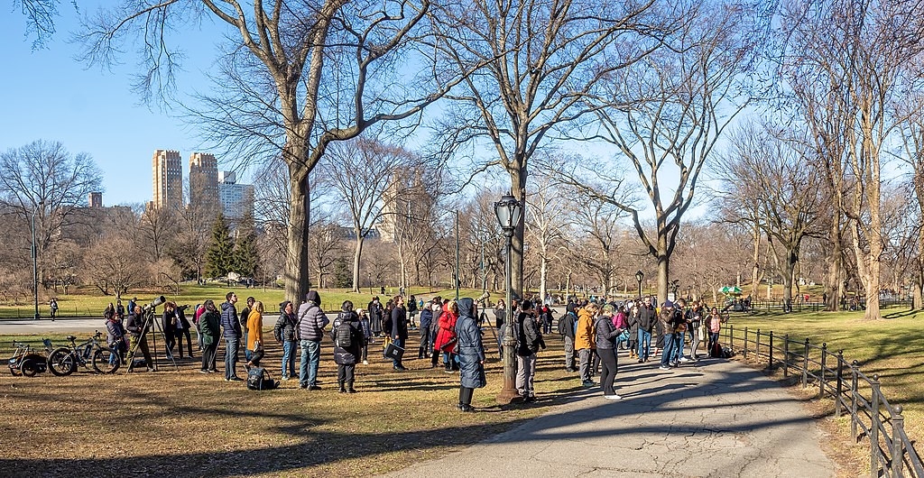 Flaco住在中央公園的期間，社群關注牠的一舉一動，甚至擔心紐約馬拉松的人群會嚇跑Flaco。圖片來源：Rhododendrites（CC BY-SA 4.0）
