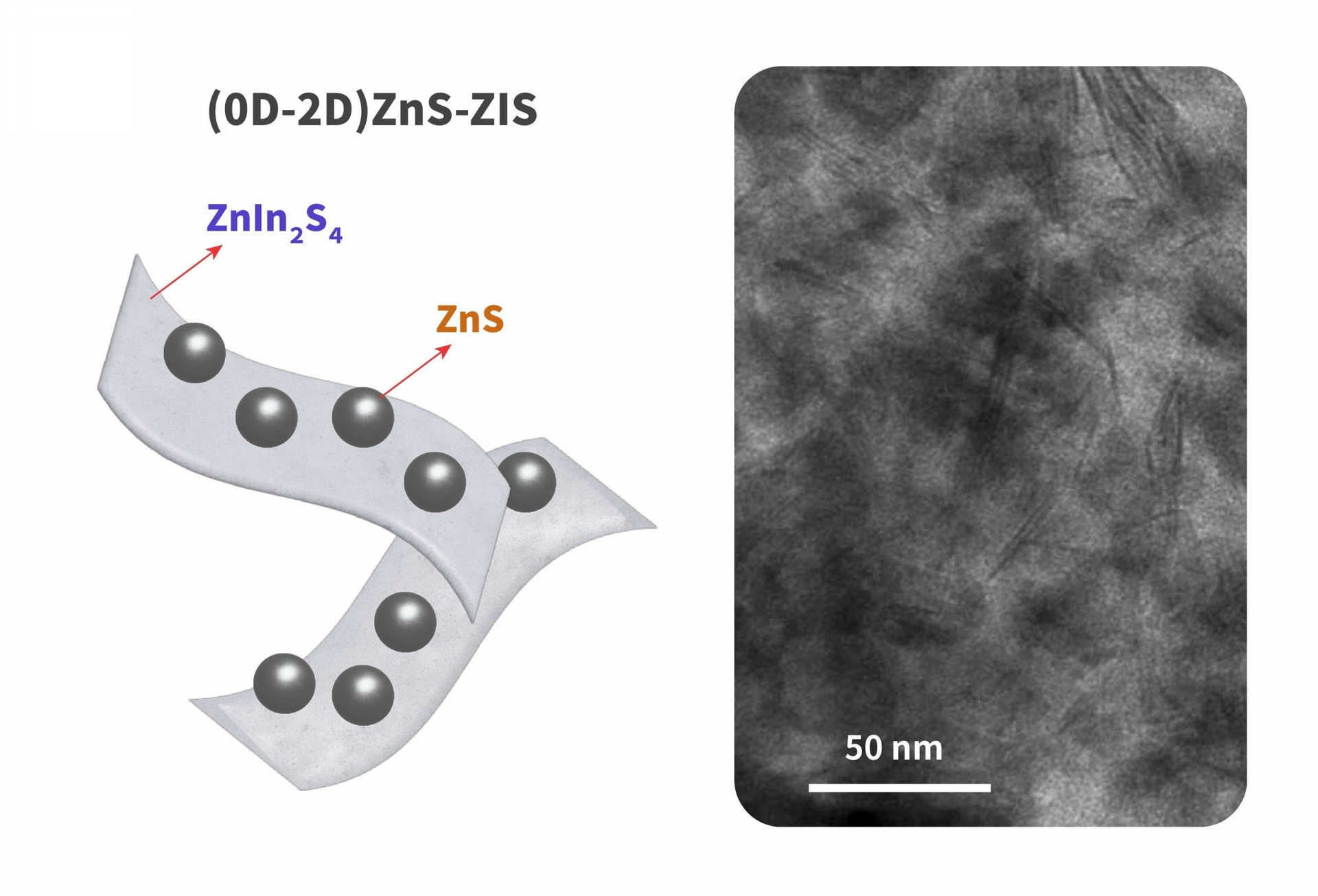 陳貴賢團隊將 0 維的 ZnS 奈米顆粒沉積在 2 維的 ZIS 奈米片之上，就好像做巧克力豆餅乾一樣，形成複合的異質半導體，做為光催化材料用途。左圖是示意圖，右圖是電子顯微鏡下的照片，Zn:In 比例為 1:0.46。 圖｜研之有物（資料來源｜Nano Energy）