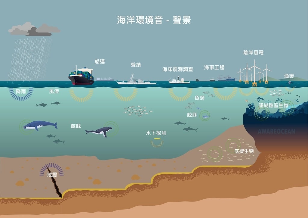 水下噪音包括設置離岸風電、海事工程、船舶噪音等，對鯨豚的累積影響尚待更多研究。圖片來源：中山大學新聞稿