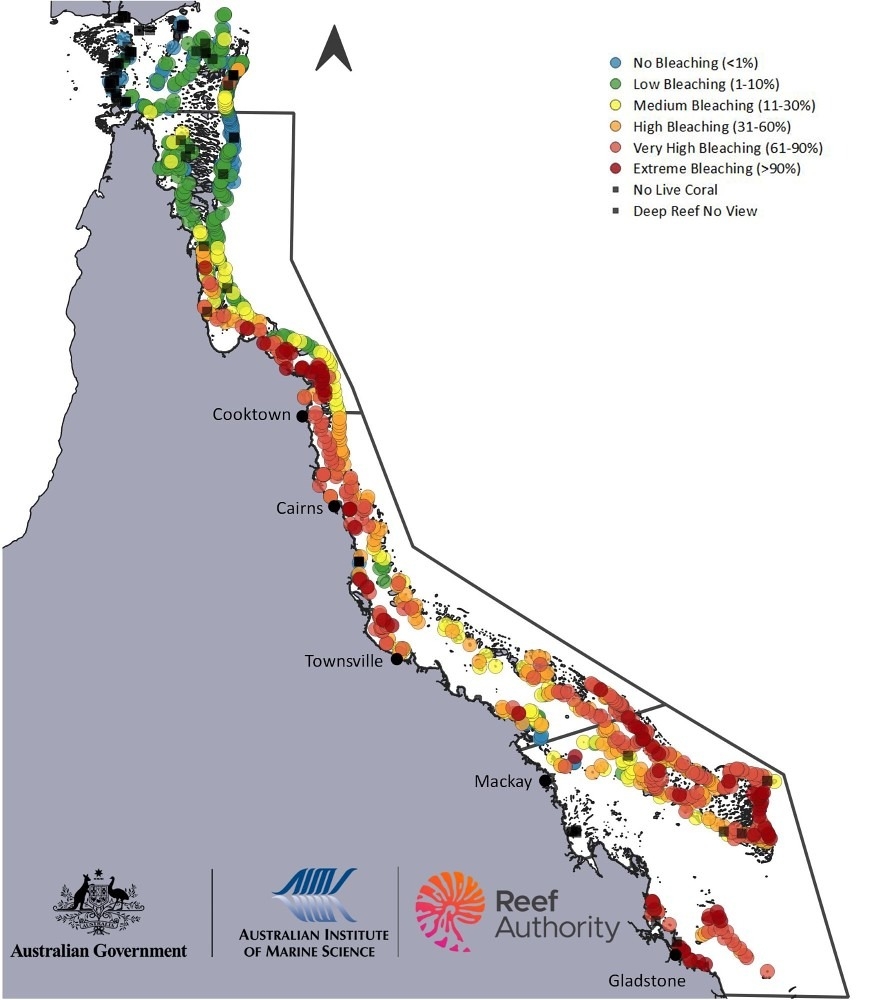 澳洲大堡礁海洋公園管理局（GBRMPA）2024年針對大堡礁淺水珊瑚礁群白化率的航空調查觀測結果。圖片來源：澳洲大堡礁海洋公園管理局（GBRMPA）
