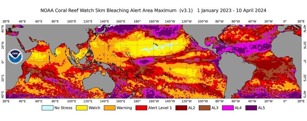 NOAA的珊瑚礁觀察（Coral Reef Watch）顯示2023年1月1日至2024年4月10日期間的珊瑚白化警戒值 （圖片來源：NOAA）
