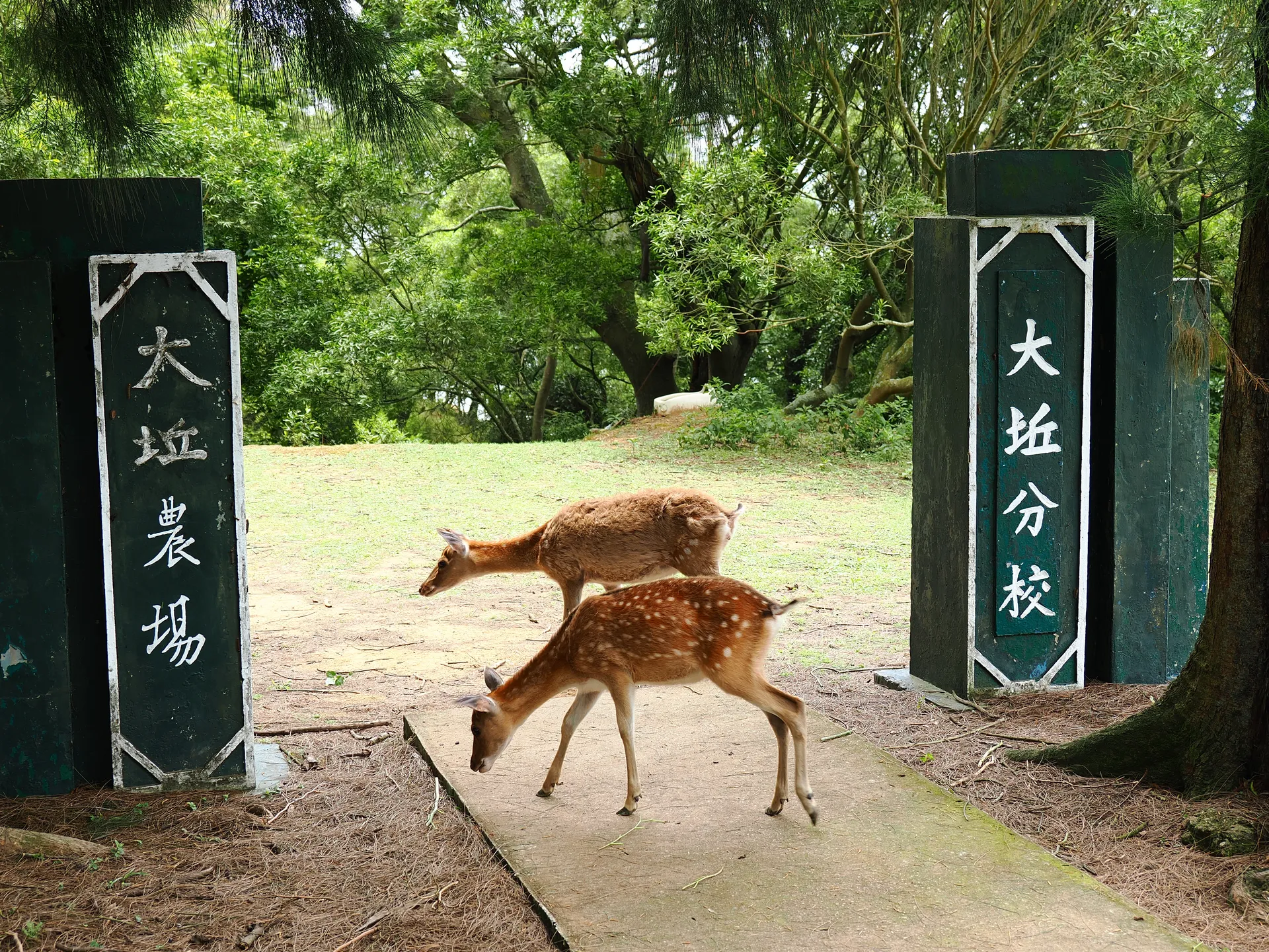 攝影／攝影班學員李權桓