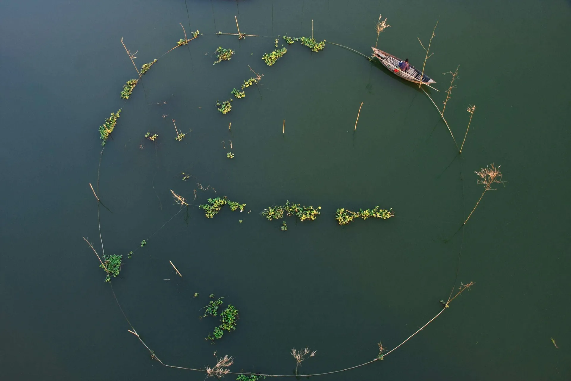 Photograph by Sardar Islam