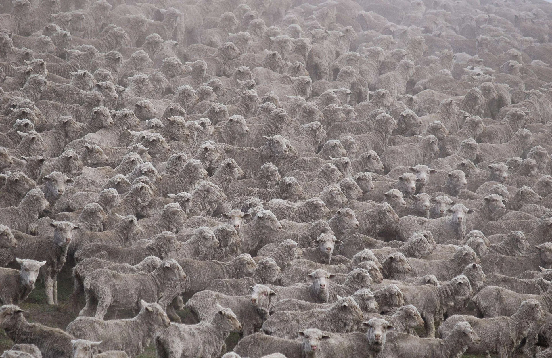Photograph by Marcin Dobas