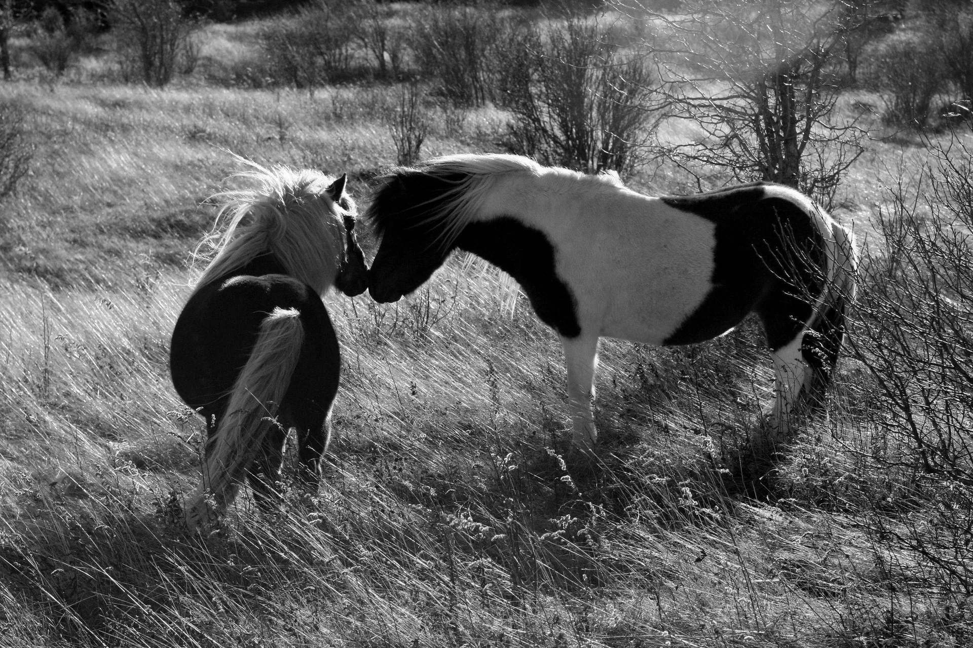 Photograph by Benjamin Sintay