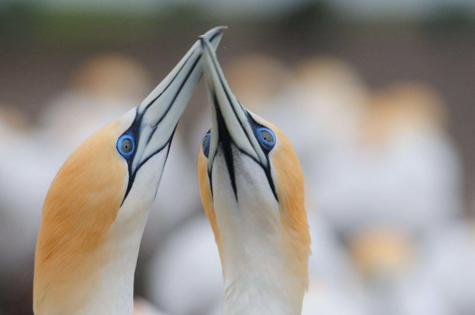 Photograph by Doug Charnock