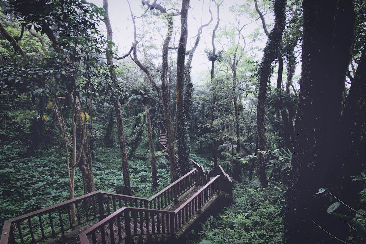夏季森林正茂盛，鳳凰秘境的木屋小旅行（Sponsored）