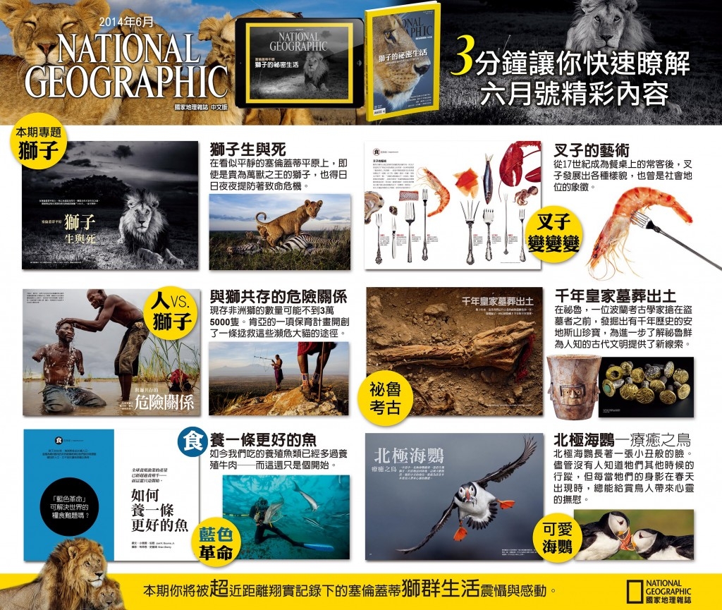 【新刊上架】《國家地理》雜誌中文版 2014 年 6 月號 ─ 獅子的秘密生活