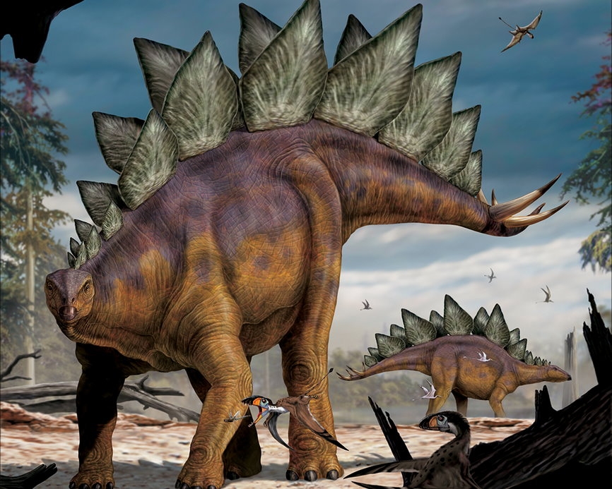 【恐龍狩獵者】劍龍(Stegosaurus)