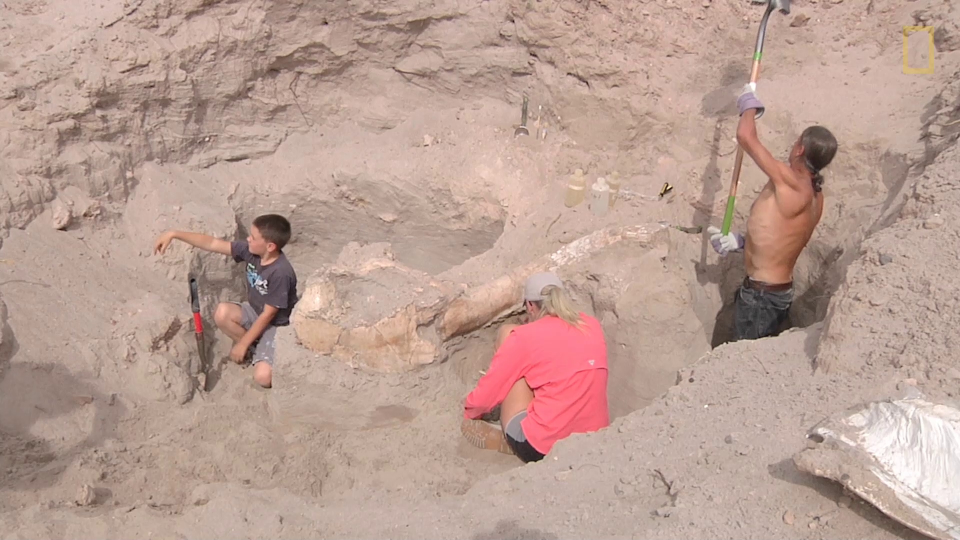 男孩跌個跤，發現百萬年前的化石