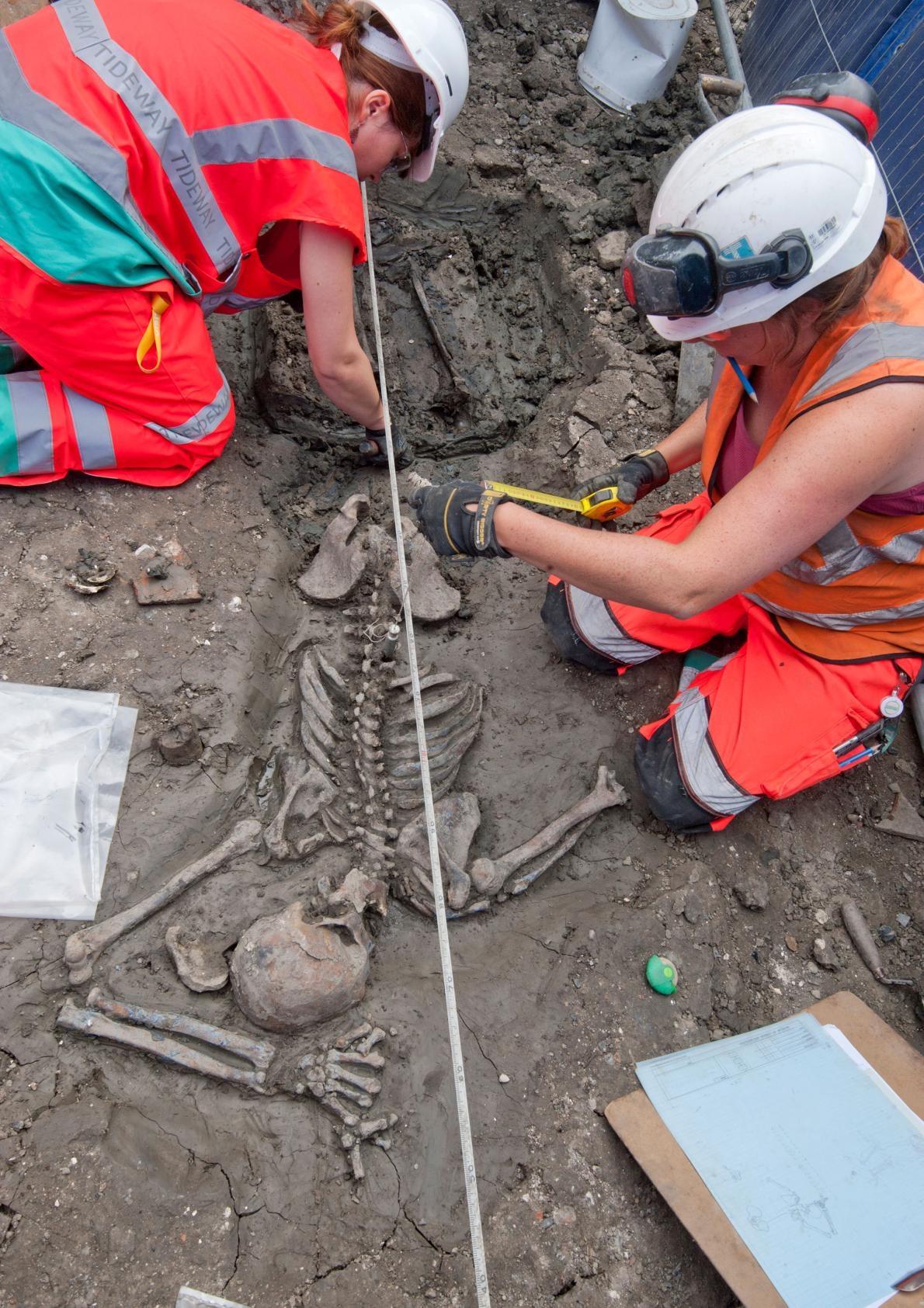 倫敦的考古學家正在研究一名三十多歲的成年男性骨骸，他已經在地下靜靜躺了超過500年。 COURTESY OF MOLA HEADLAND INFRASTRUCTURE