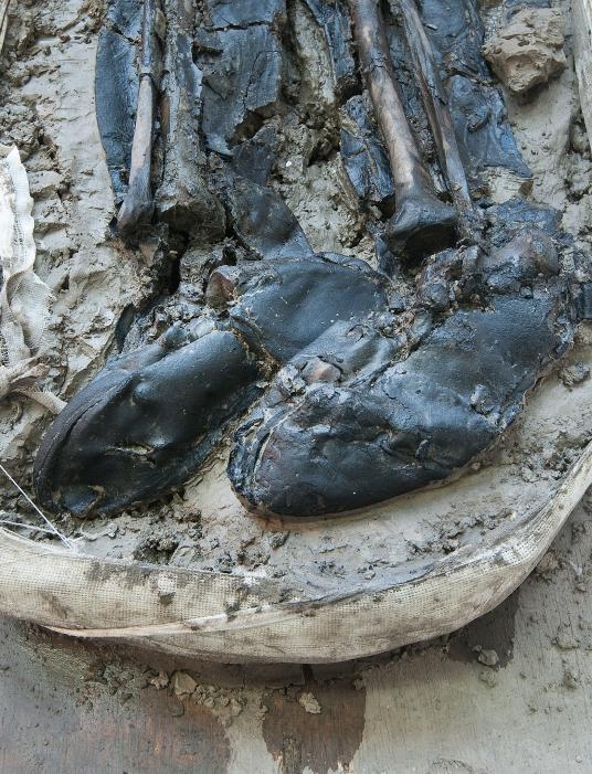 專家為該男子的皮靴定年，結果落在15世紀晚期或16世紀早期。 COURTESY OF MOLA HEADLAND INFRASTRUCTURE