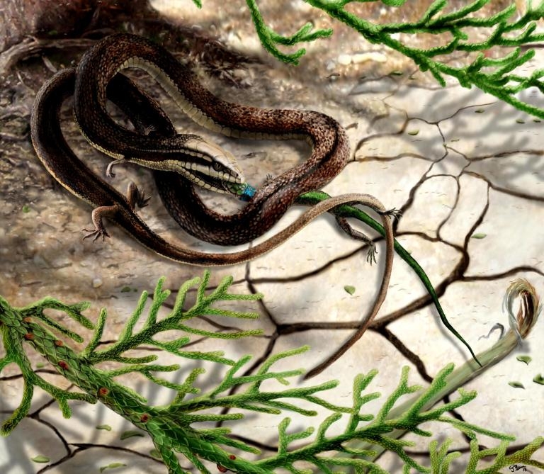 轟動一時的「四腳蛇」可能只是恐龍時代的蜥蜴？