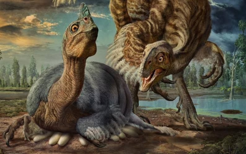 巨型恐龍也會孵蛋！牠們如何不把蛋壓破？
