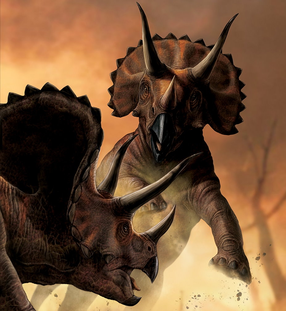 【恐龍狩獵者】三角龍(Triceratops)
