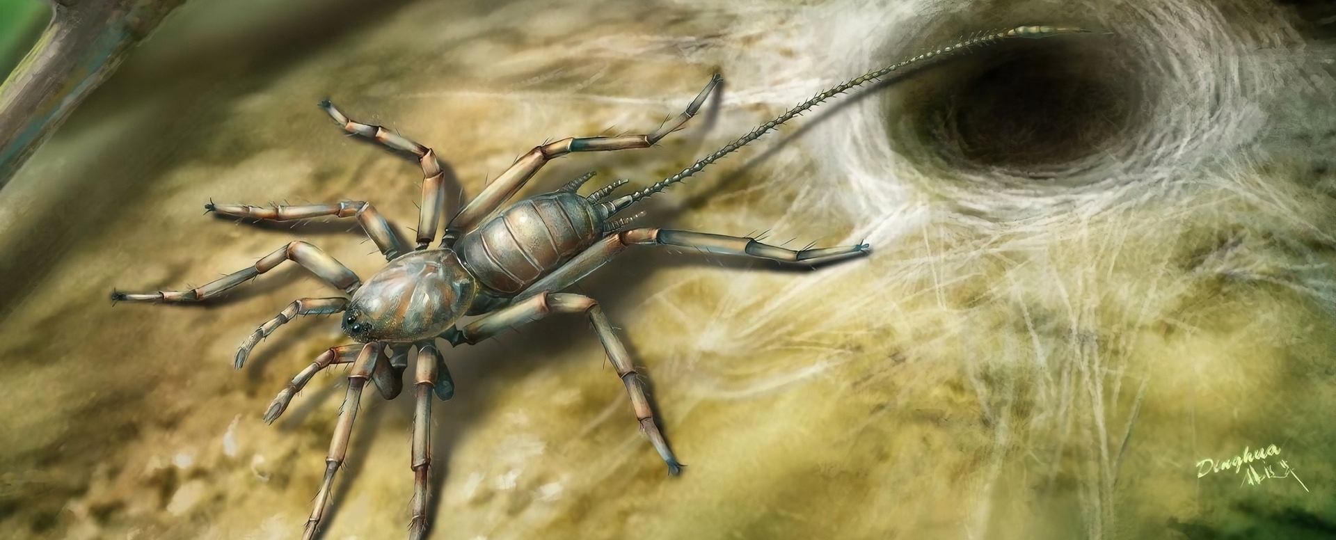 為什麼這隻古代蜘蛛有尾巴？