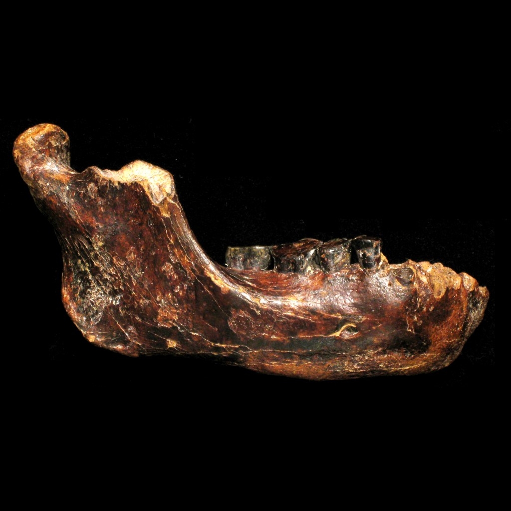 台灣考古大躍進：19萬年前的「澎湖原人」現身