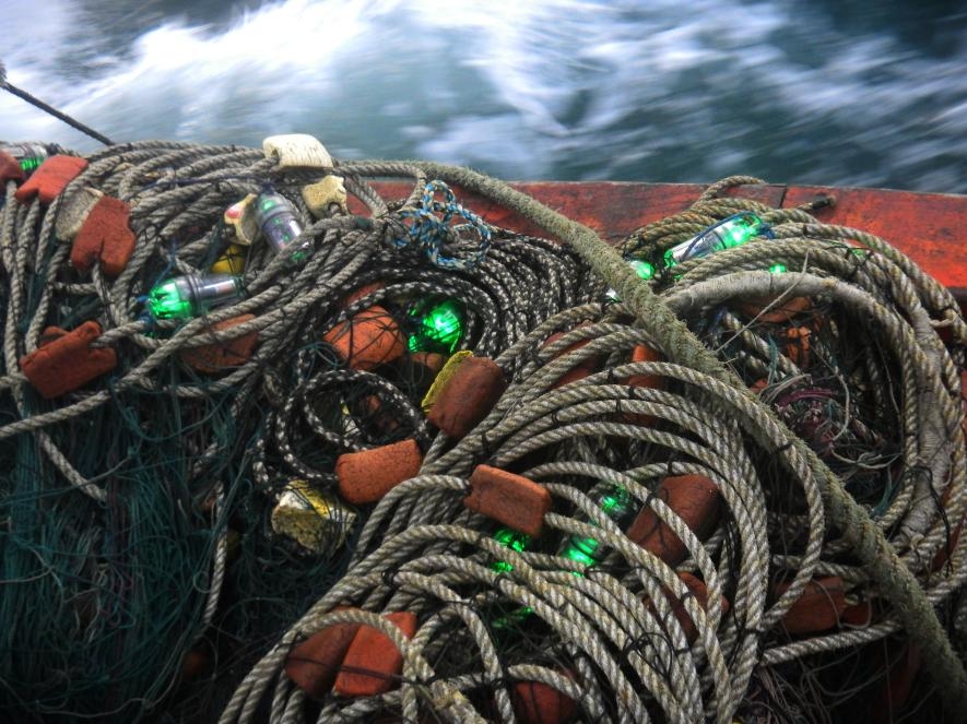在祕魯外海進行的研究共用了114張漁網，漁網上每隔10公尺就有一盞LED燈。 PHOTOGRAPH BY PRODELPHINUS