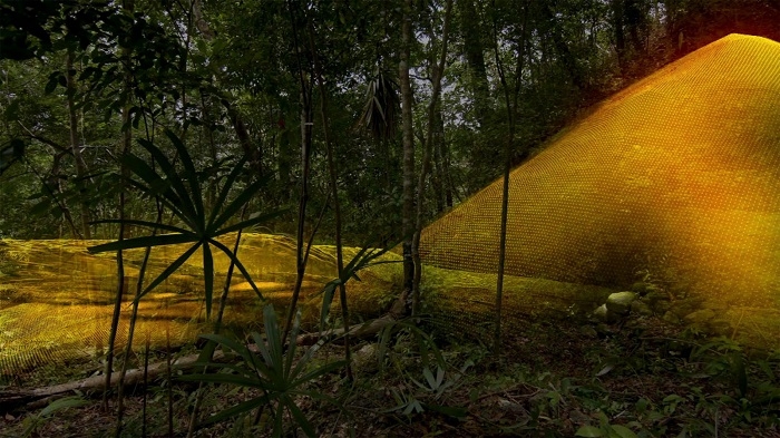 雷射科技揭露瓜地馬拉叢林下的馬雅「大都會」
