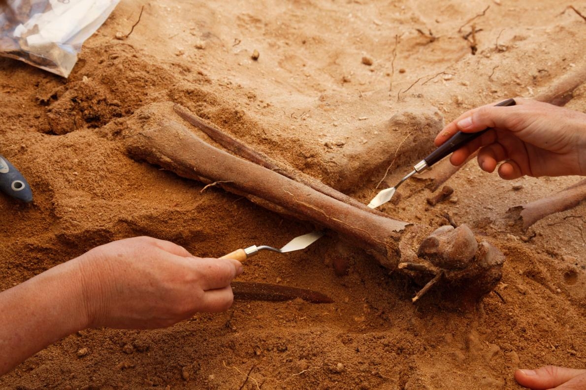 考古學家新發現惡名昭彰船難的集體墓穴