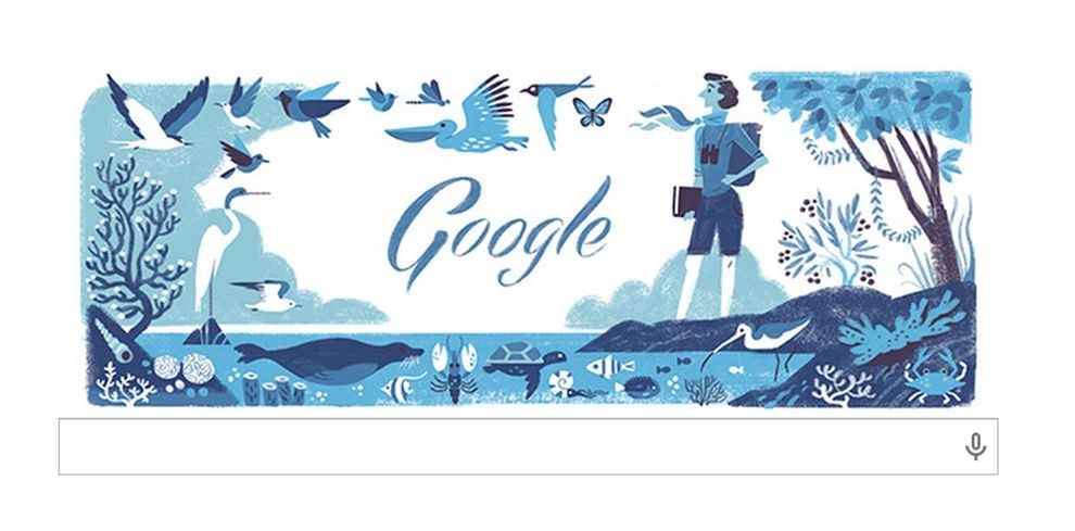 Google Doodle紀念《寂靜的春天》作者瑞秋．卡森