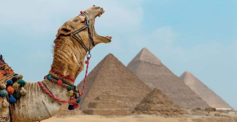 為何考古學家推薦六月造訪埃及吉薩大金字塔？