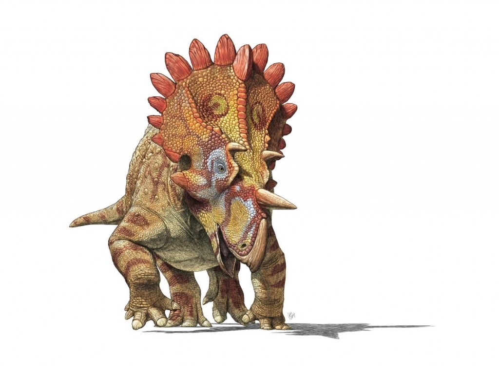 認識「地獄怪客」：發現頭部多銳角的新種恐龍