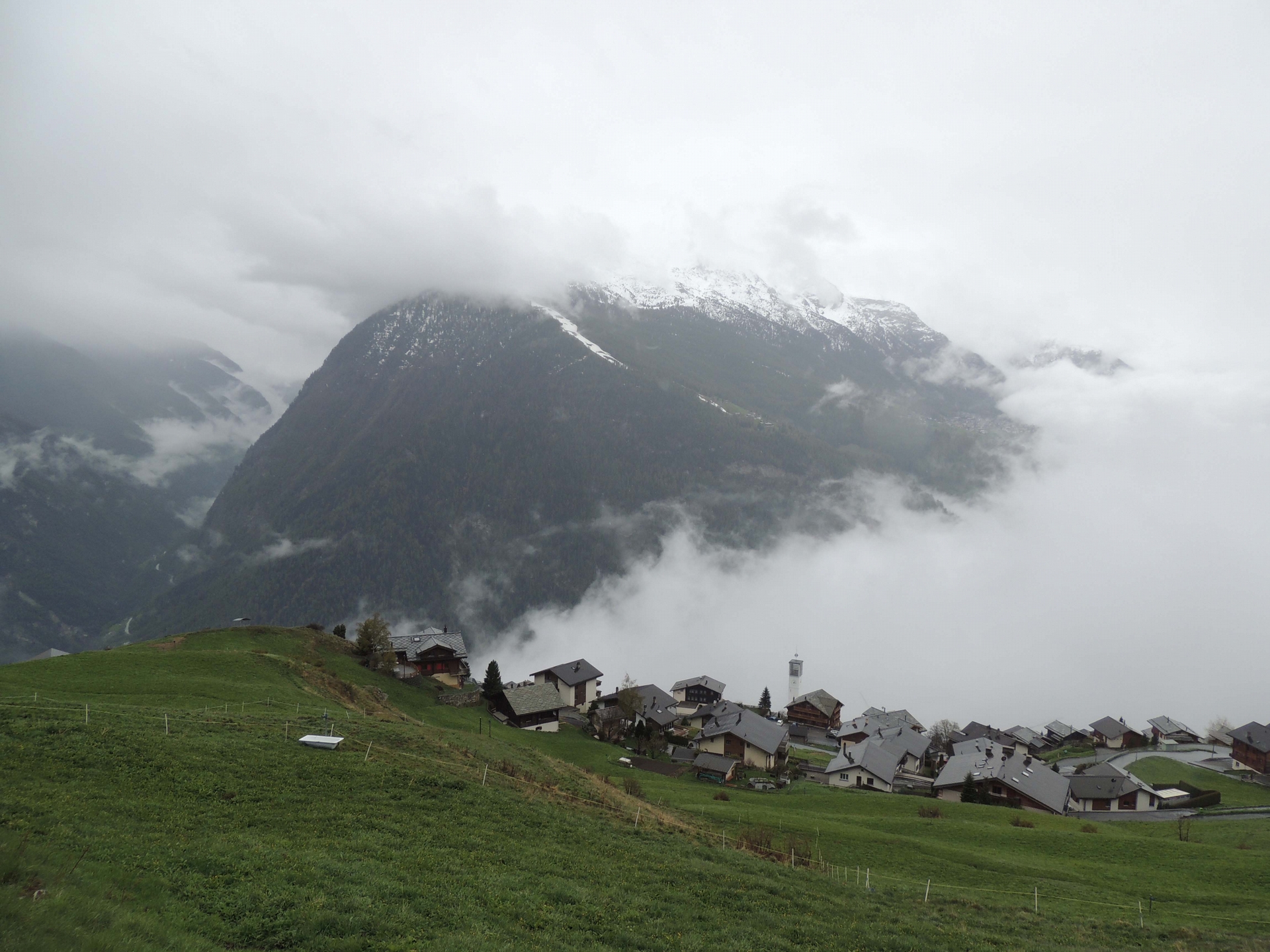 治理阿爾卑斯山：從牧草地到瑞士的共有資源典範