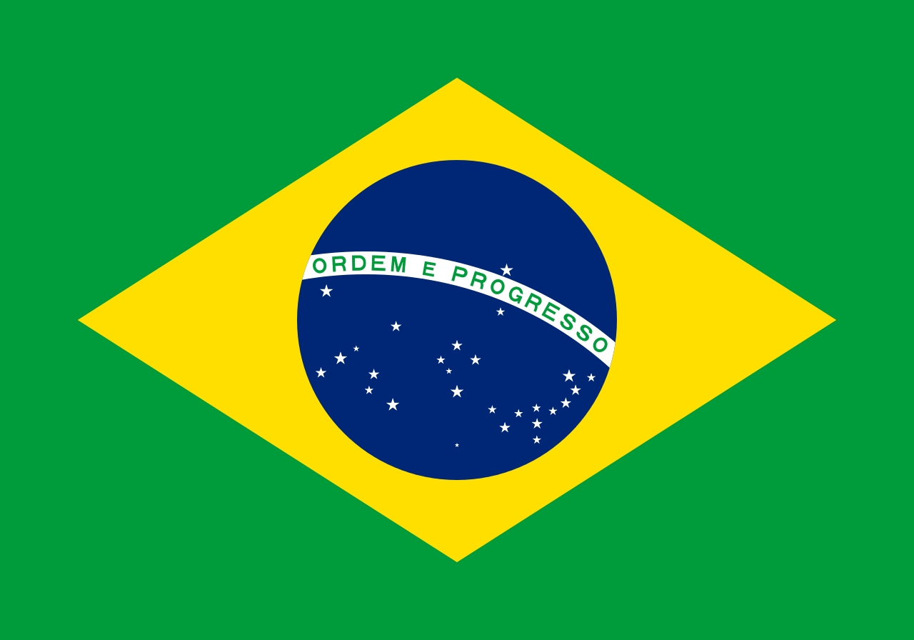 巴西國旗描繪里約星空