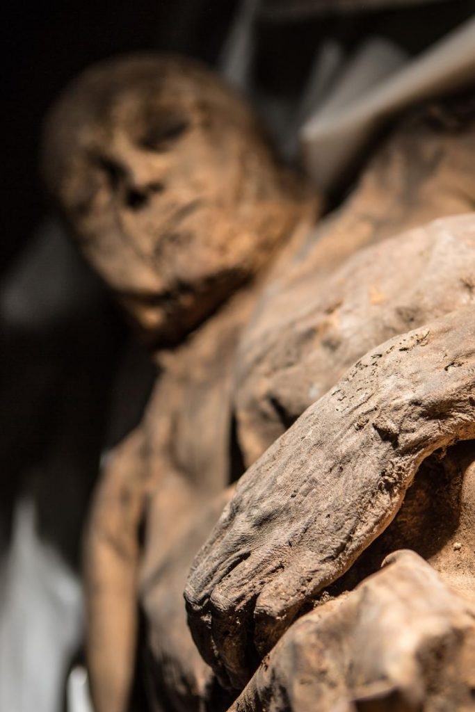 立陶宛教堂發現了幾具自然風化的木乃伊，其中一具孩童木乃伊身上發現了已知最古老的天花病毒樣本。PHOTOGRAPH BY KIRIL CACHOVSKIJ, DELFI