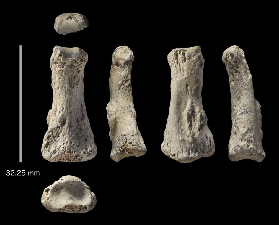 8萬8000年前的一塊手指骨將人類遷徙時程往前推
