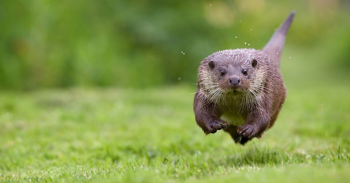 Photograph by Mark Bridger, National Geographic Your Shot