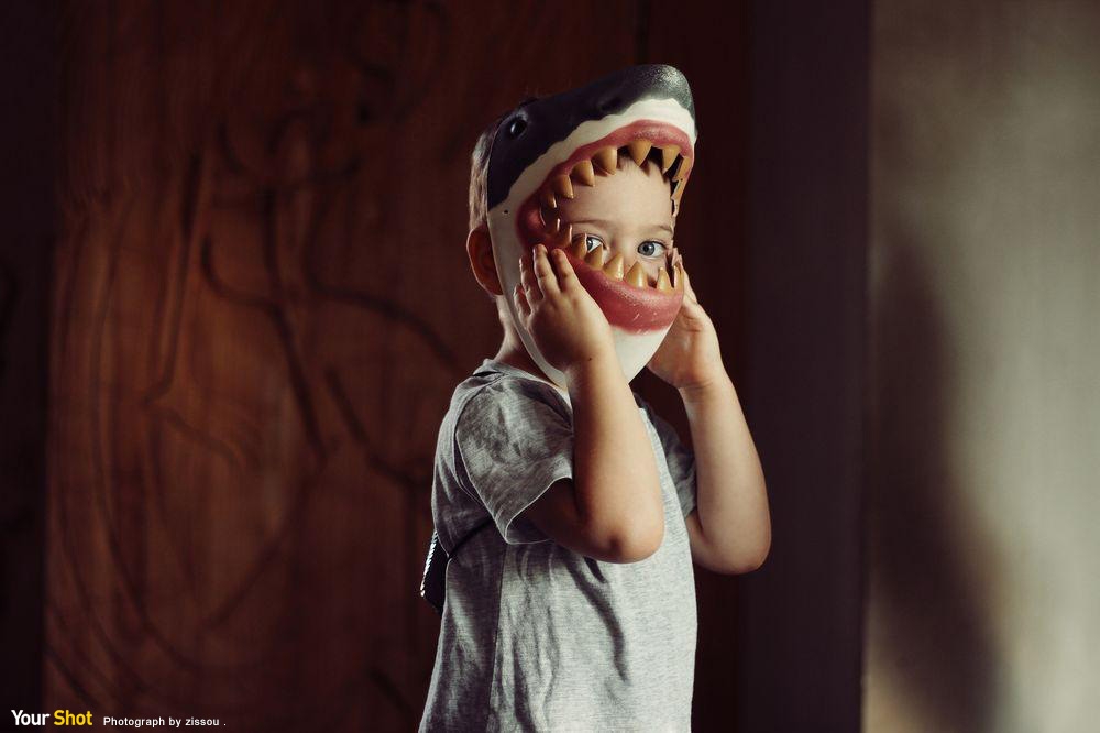 鯊魚男孩