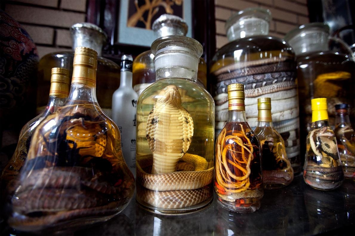 避免採購的野生動物紀念品，例如蛇酒
