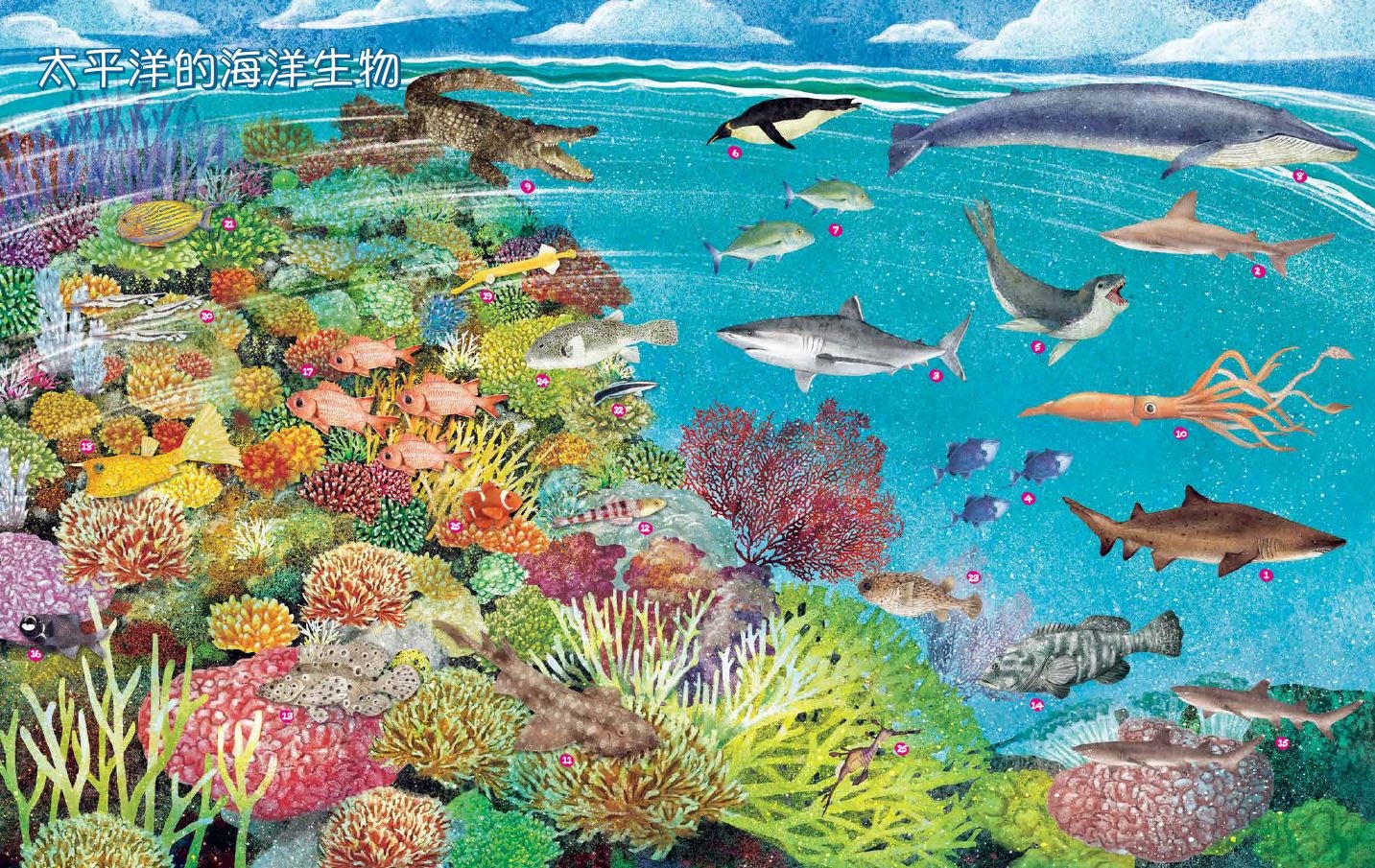《世界上有哪些魚？ 》 太平洋的魚類與海洋生物